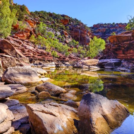 Autopia___Kalbarri_National_Park_walking_trails_Credits_Australias_Coral_Coast_Cakewalk_lg (1)